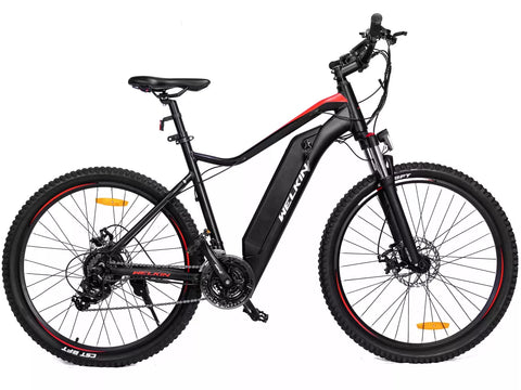 350W Mountain Sports Electric Bike,Mountain Sports E-Bike 36V